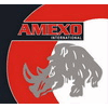 AMEXO INTERNATIONAL