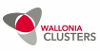 CLUSTERS WALLONS