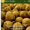 NUTS-TRADER