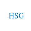 HSG SURVEYS LTD