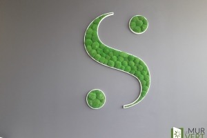 Logo végétal en mousse boule naturel sans entretien 