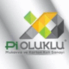 PIOLUKLU COMPANY